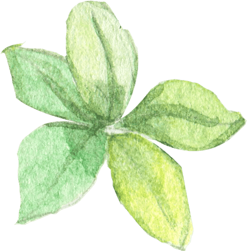 KINGSTAR | Tủ đông công nghiệp | Bàn mát công nghiệp